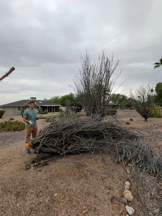 Yard waste removal job completed in Peoria AZ