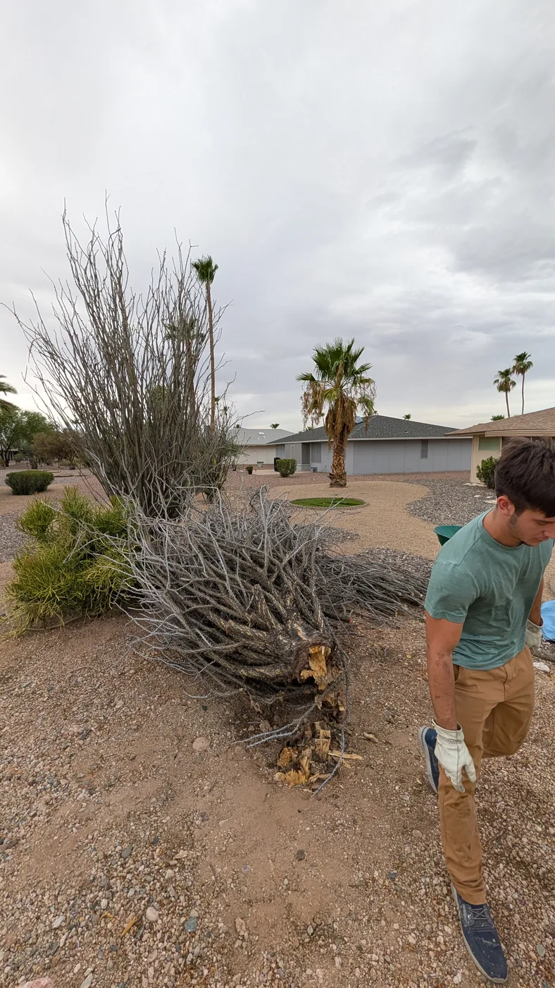 Yard waste being moved during a Peoria cleanup
