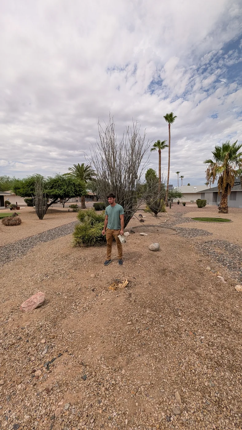 Peoria yard waste removal work area